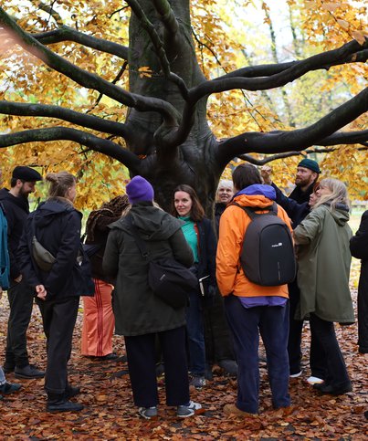 54904962357_e4852e5ef3_o