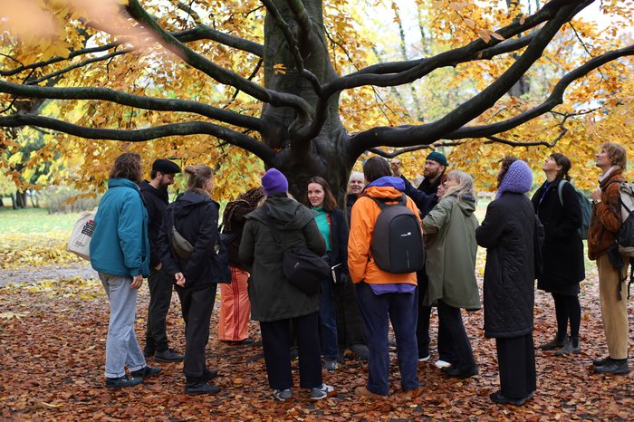 54904962357_e4852e5ef3_o